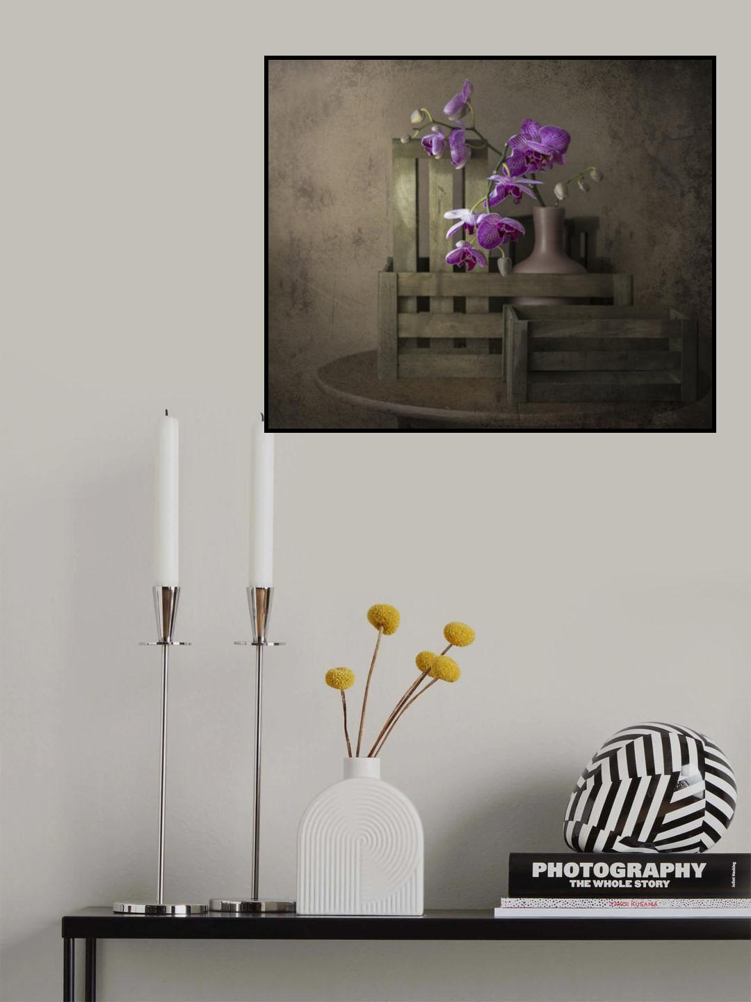The beauty of the orchid Poster och Canvastavla