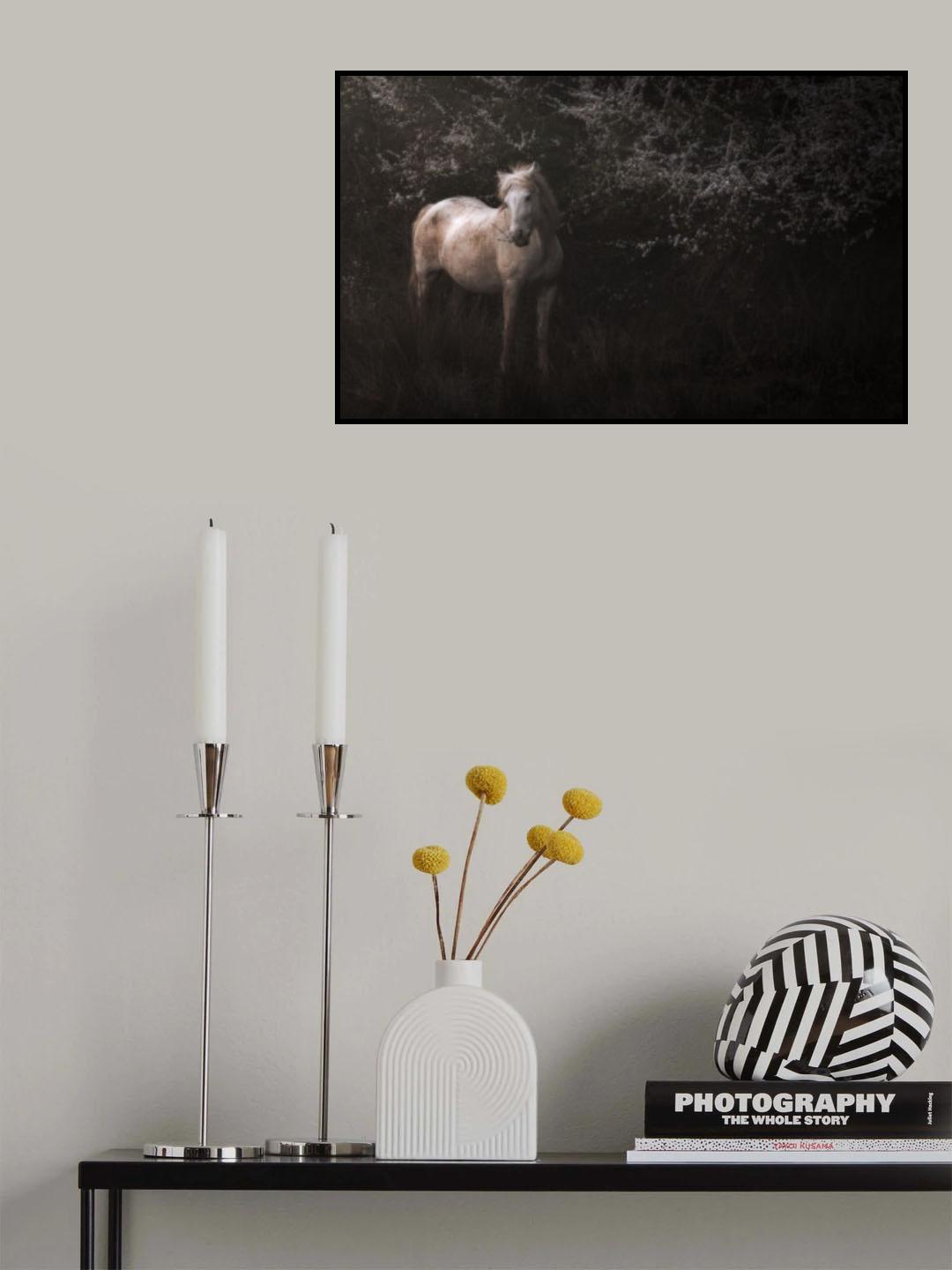 Shadowfax Poster och Canvastavla
