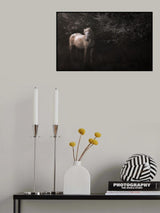 Shadowfax Poster och Canvastavla
