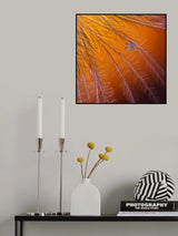 Gold Star Poster och Canvastavla