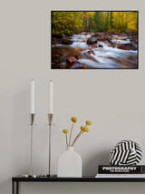 Fall Color Poster och Canvastavla