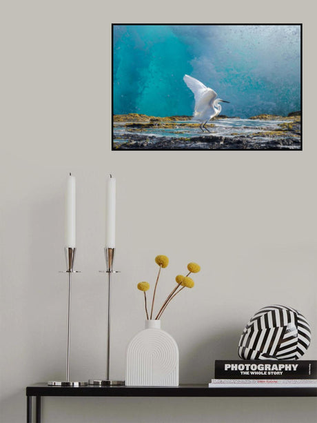 Common egret Poster och Canvastavla