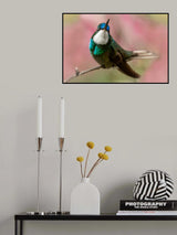Strike a pose Poster och Canvastavla