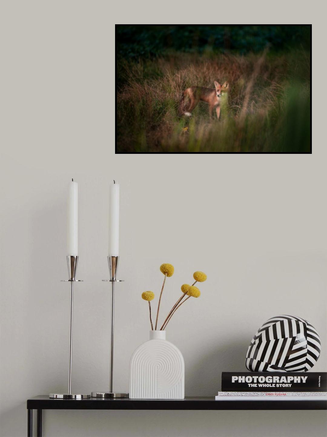 Poster och Canvastavla