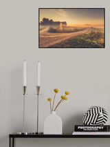 Early bird... Poster och Canvastavla