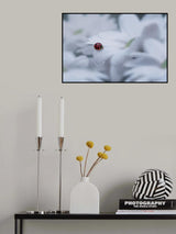 Beautiful Ladybug Poster och Canvastavla