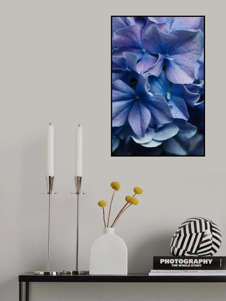 Dancing Petals - Lilac Hydrangea Poster och Canvastavla