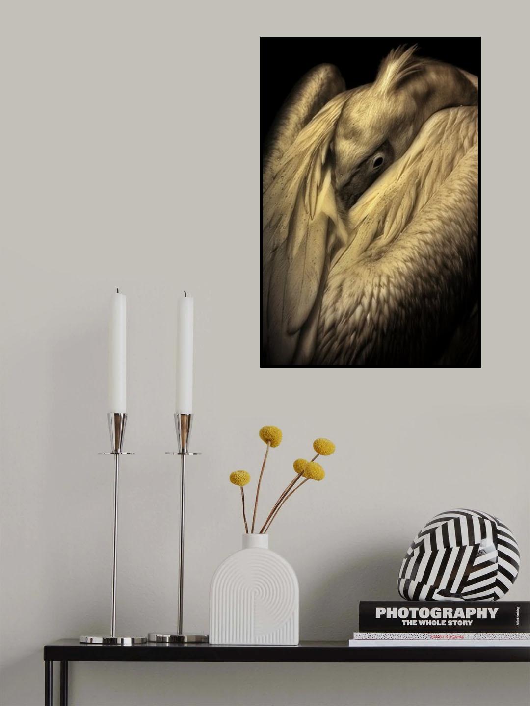 SHY .... Poster och Canvastavla