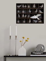 Squares Poster och Canvastavla