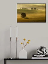 foggy fields Poster och Canvastavla
