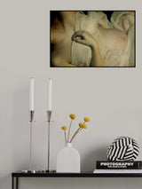 Womanhood Poster och Canvastavla