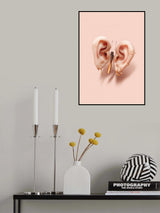 Butterfly Ears Poster och Canvastavla