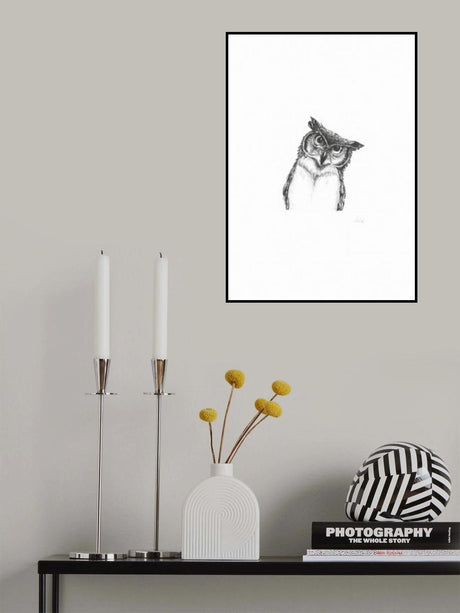 Owlet Poster och Canvastavla