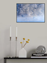 Swan Lake Poster och Canvastavla