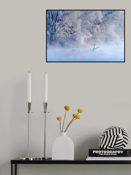 Swan Lake Poster och Canvastavla