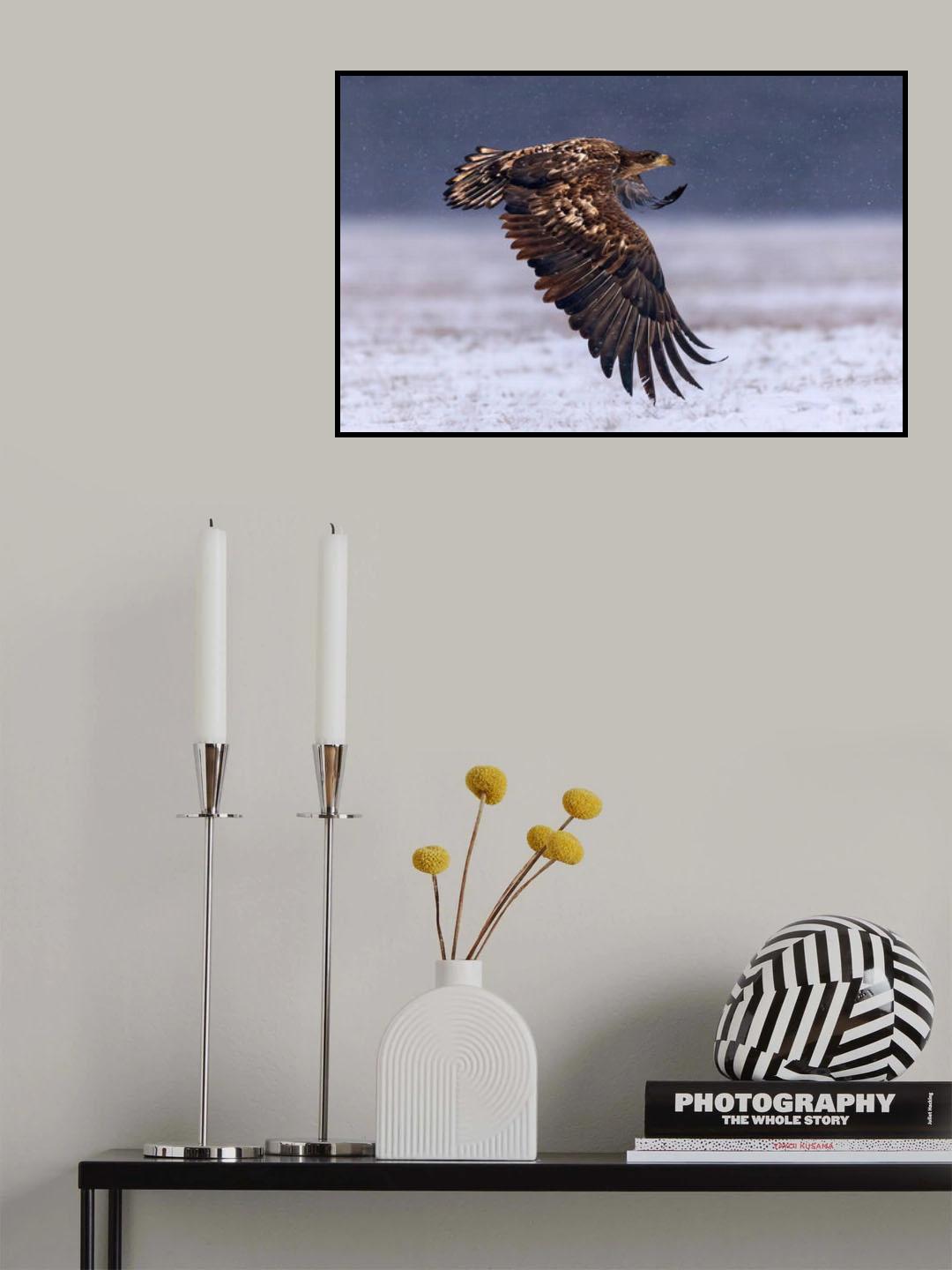 Flying under the snow Poster och Canvastavla