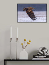 Flying under the snow Poster och Canvastavla