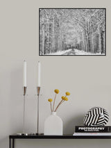 Winter mood Poster och Canvastavla