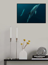 Close Poster och Canvastavla