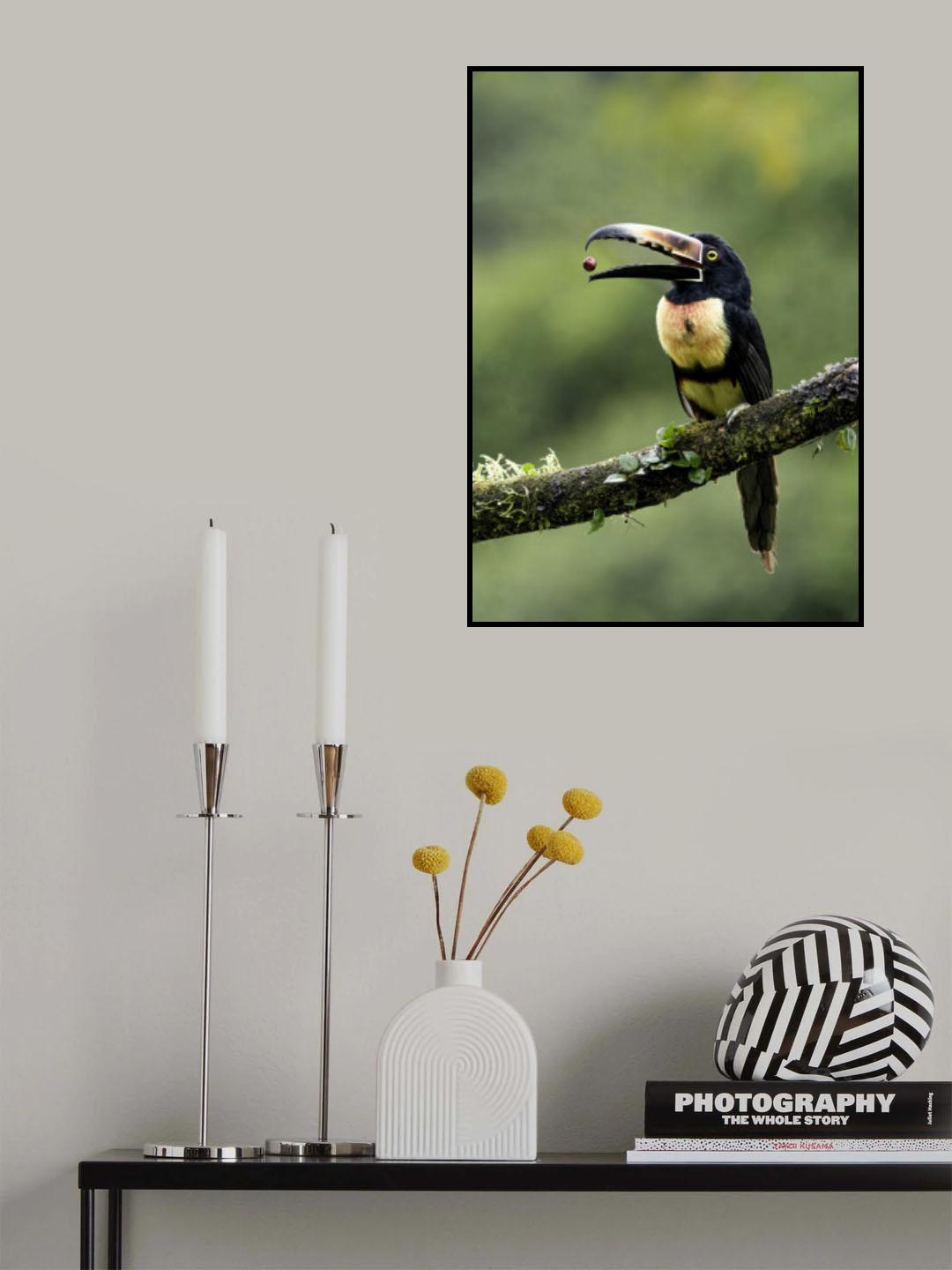 Nice catch Poster och Canvastavla