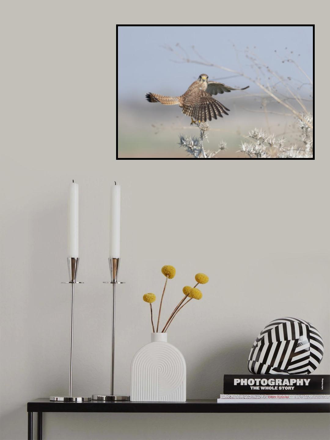 Dancing in the air Poster och Canvastavla