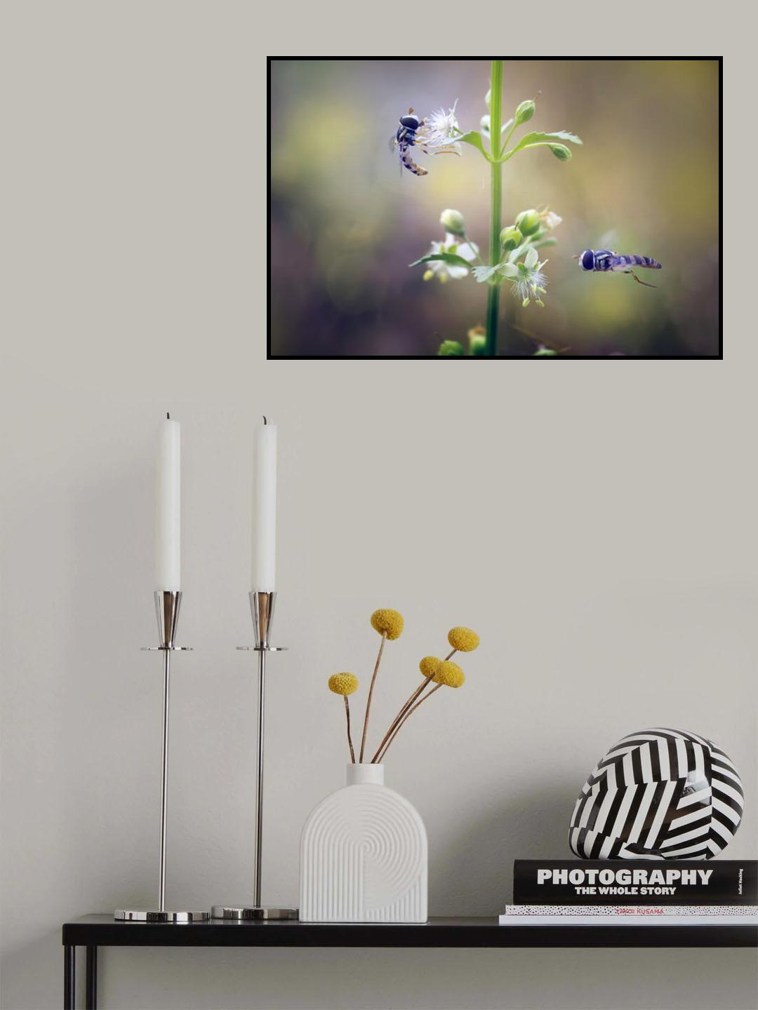 Hoverflies Poster och Canvastavla