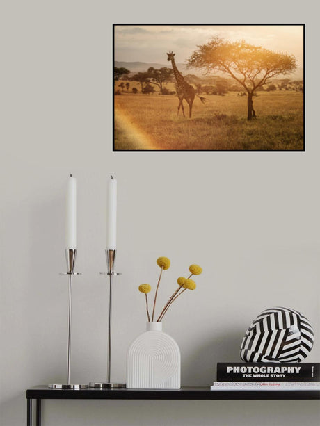 Giraffe Poster och Canvastavla