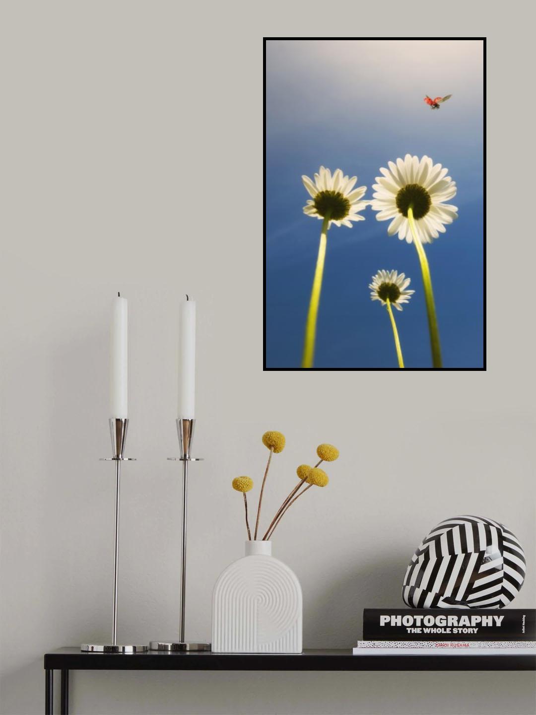 Ladybug Poster och Canvastavla