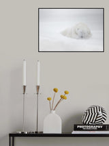 frozen dreams Poster och Canvastavla