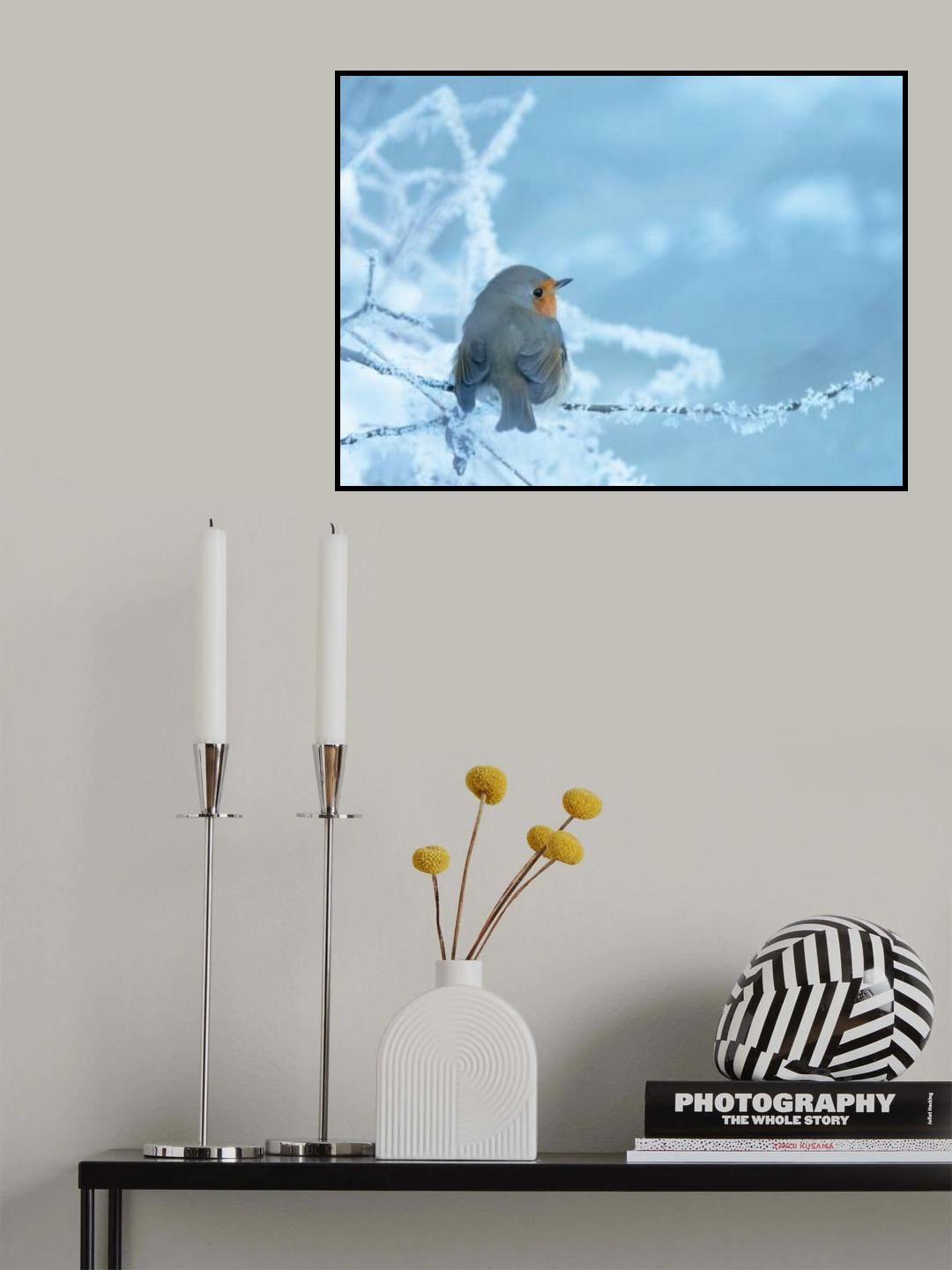 Robin on a chilly winter day Poster och Canvastavla