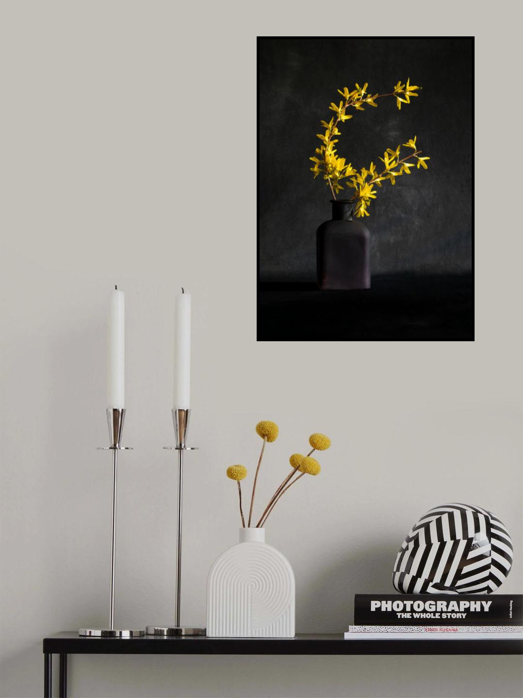 Forsythia flower Poster och Canvastavla