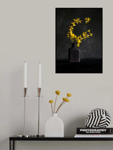Forsythia flower Poster och Canvastavla