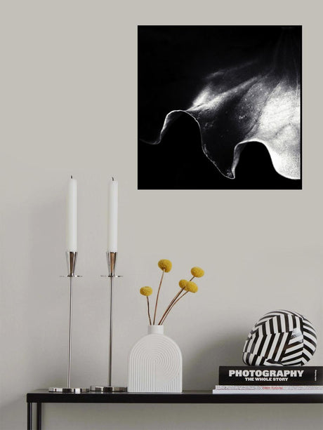 a kiss of light Poster och Canvastavla