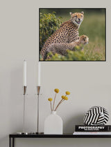 Big smile Poster och Canvastavla
