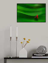 Where is the Sun Poster och Canvastavla