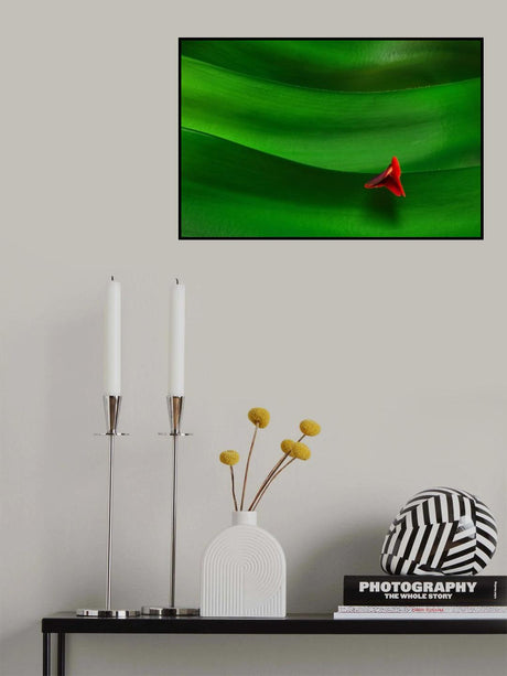 Where is the Sun Poster och Canvastavla