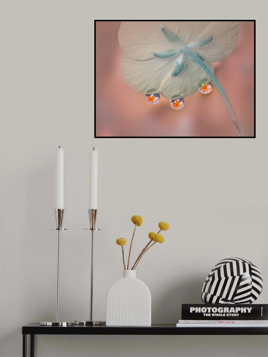 Whisper under flower Poster och Canvastavla