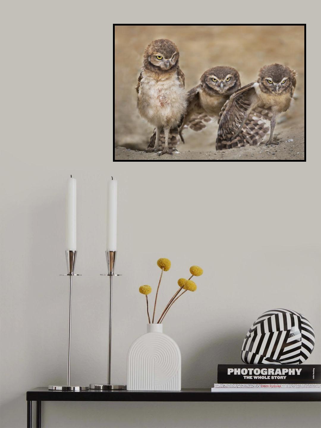 Angry babies Poster och Canvastavla