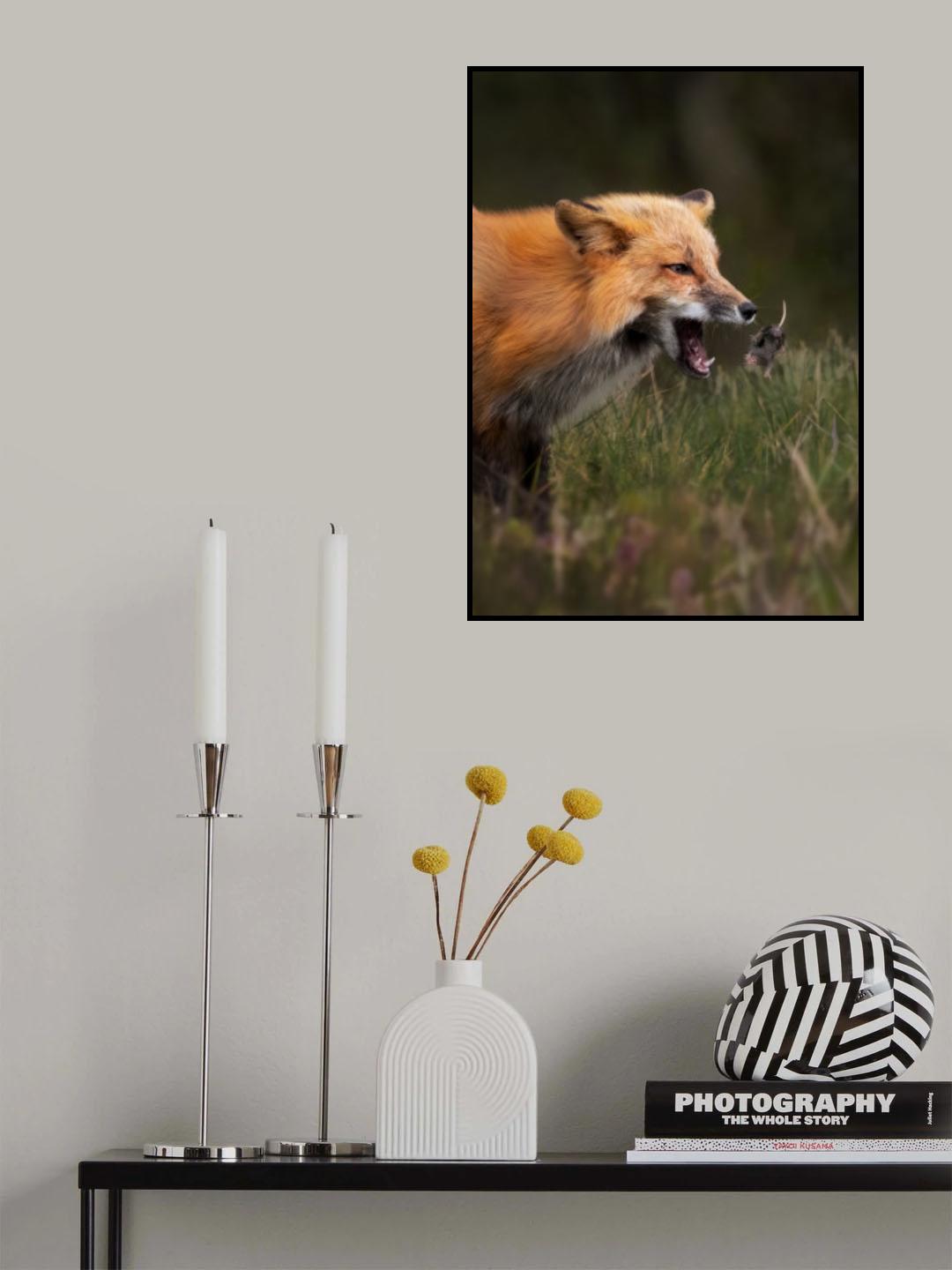 Fox playing with mouse Poster och Canvastavla