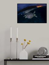 The green turtle and the blue hour Poster och Canvastavla