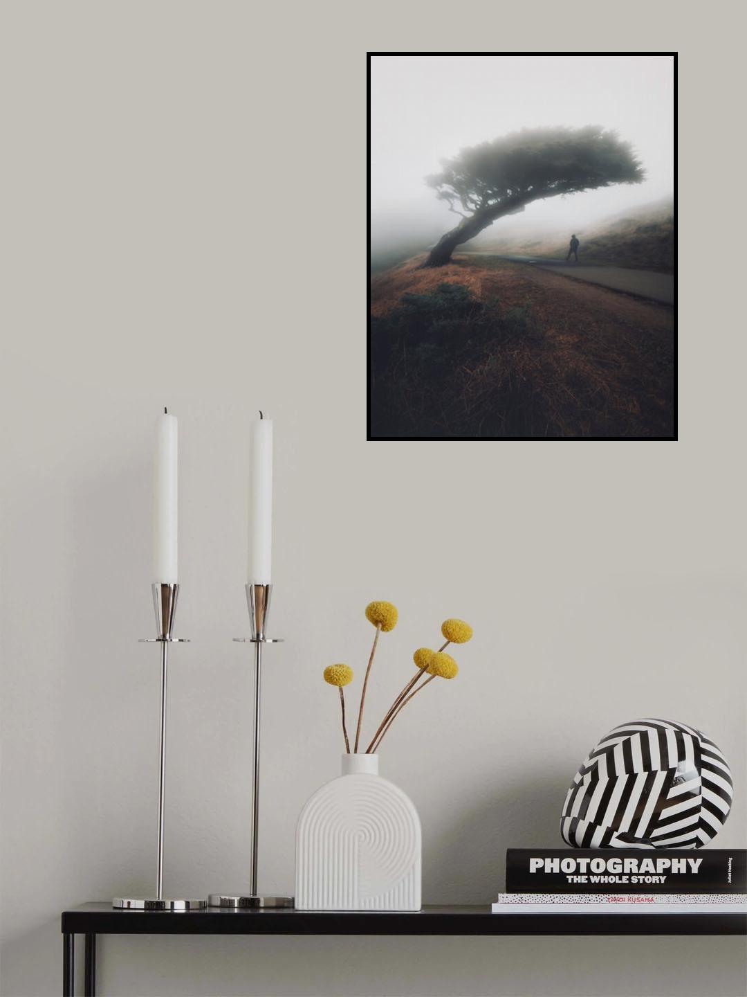 Moody Point Reyes Poster och Canvastavla
