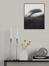 Moody Point Reyes Poster och Canvastavla