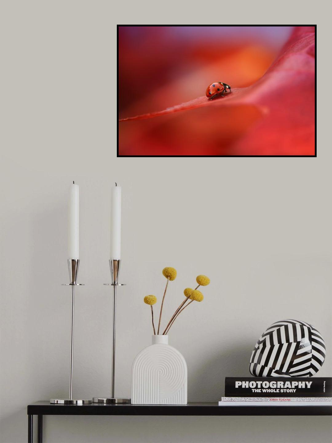 Autumn Poster och Canvastavla