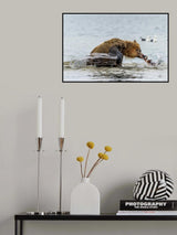 Poster och Canvastavla