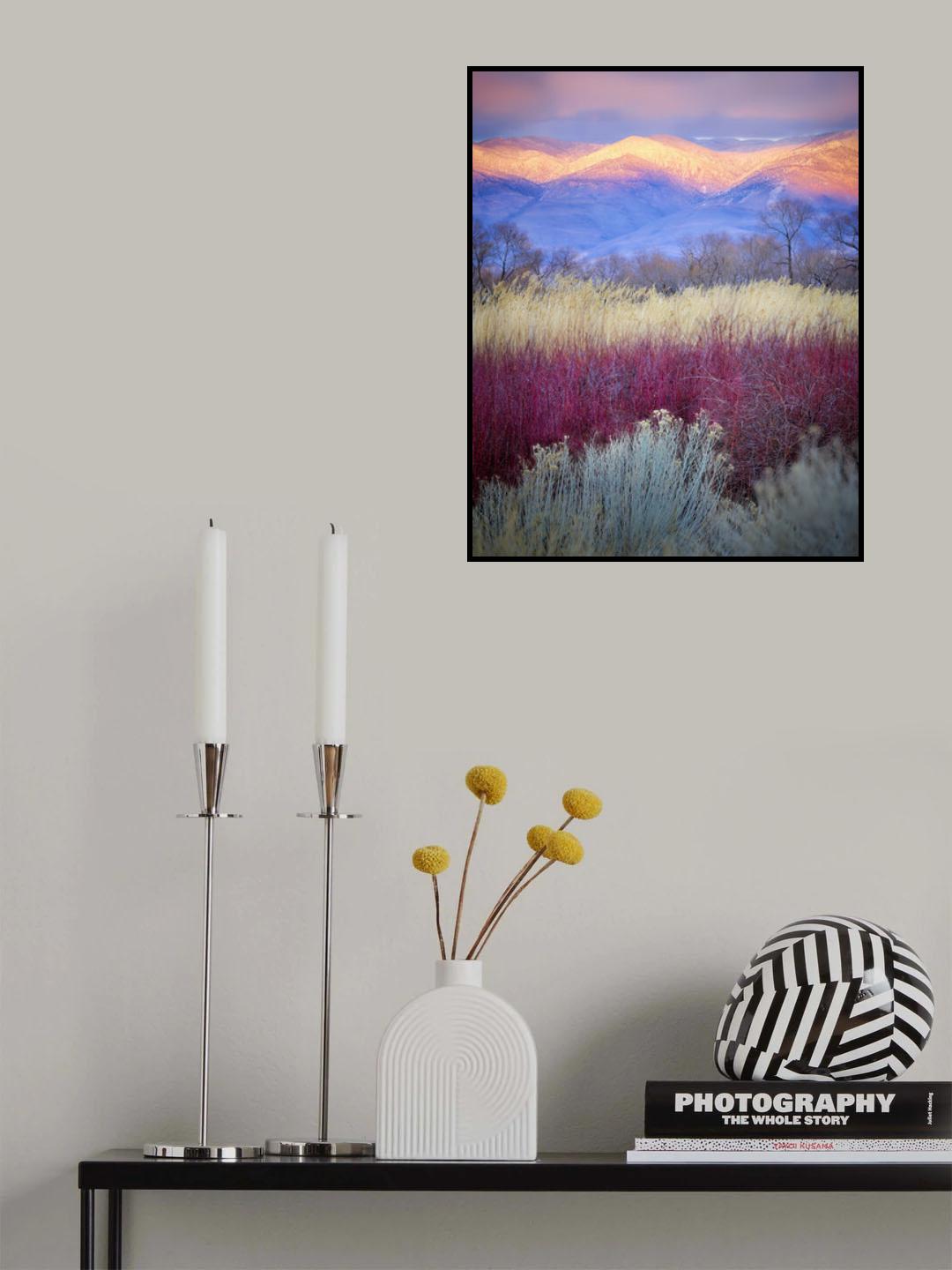 Field Layers Poster och Canvastavla