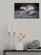 BATHING FUN ..... Poster och Canvastavla