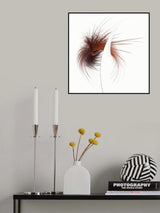 Wild Split Poster och Canvastavla