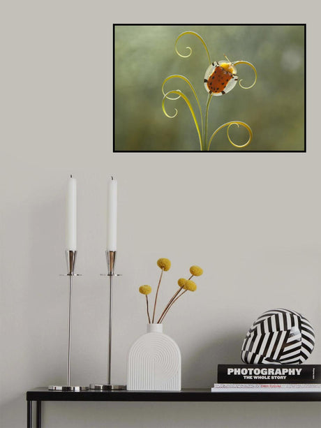 Tortoise Beetle and Leaves Poster och Canvastavla