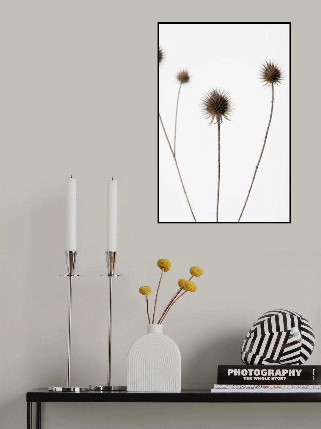 Thistle Grey 07 Poster och Canvastavla