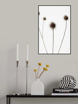 Thistle Grey 07 Poster och Canvastavla